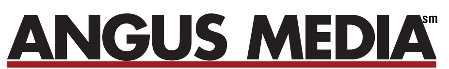 Angus Media Logo